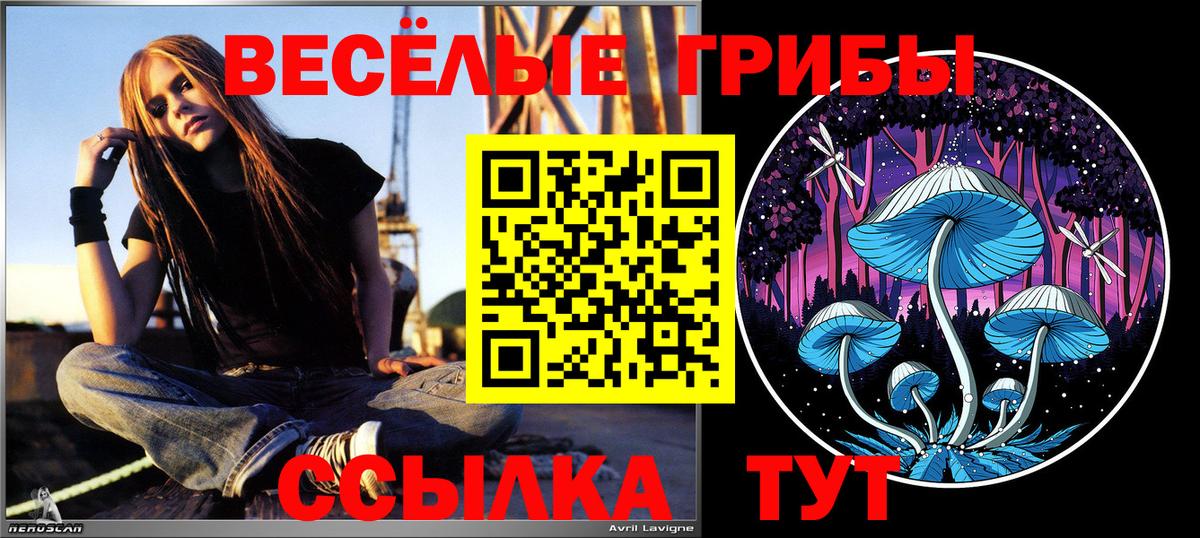 Галлюциногенные грибы ЛСД  Вход с VPN  Набережные Челны 