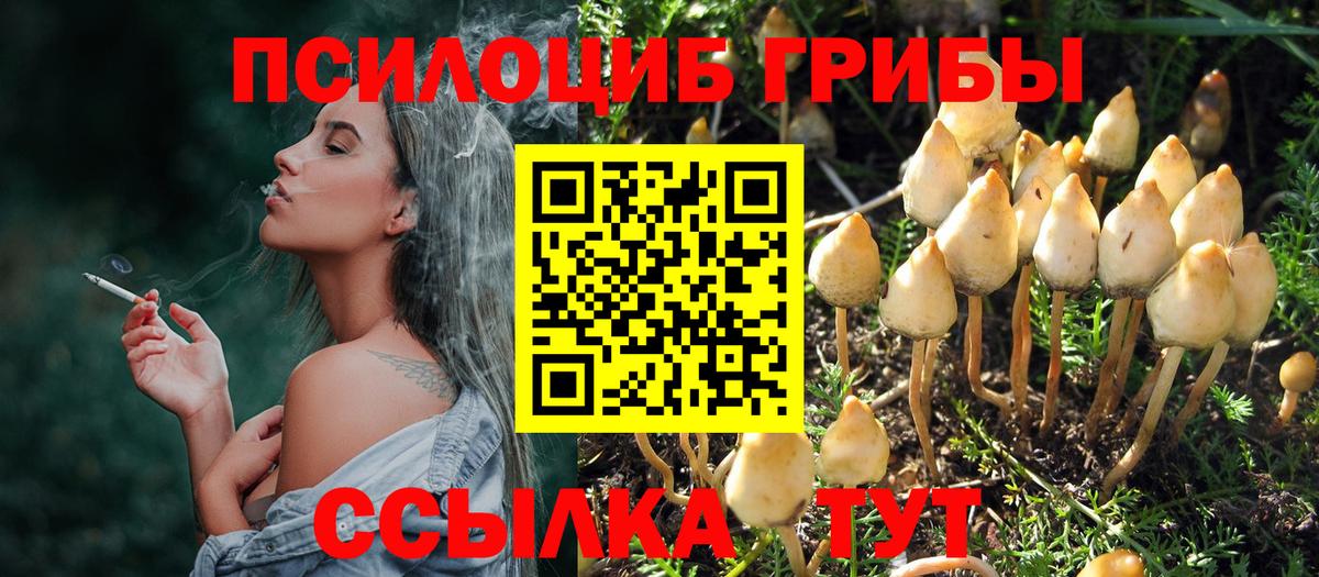 Галлюциногенные грибы Magic Shrooms Набережные Челны